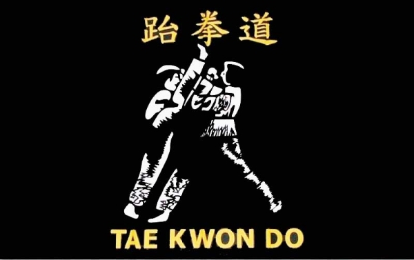 Tae Kwon Do Fahne 90 x 150 cm