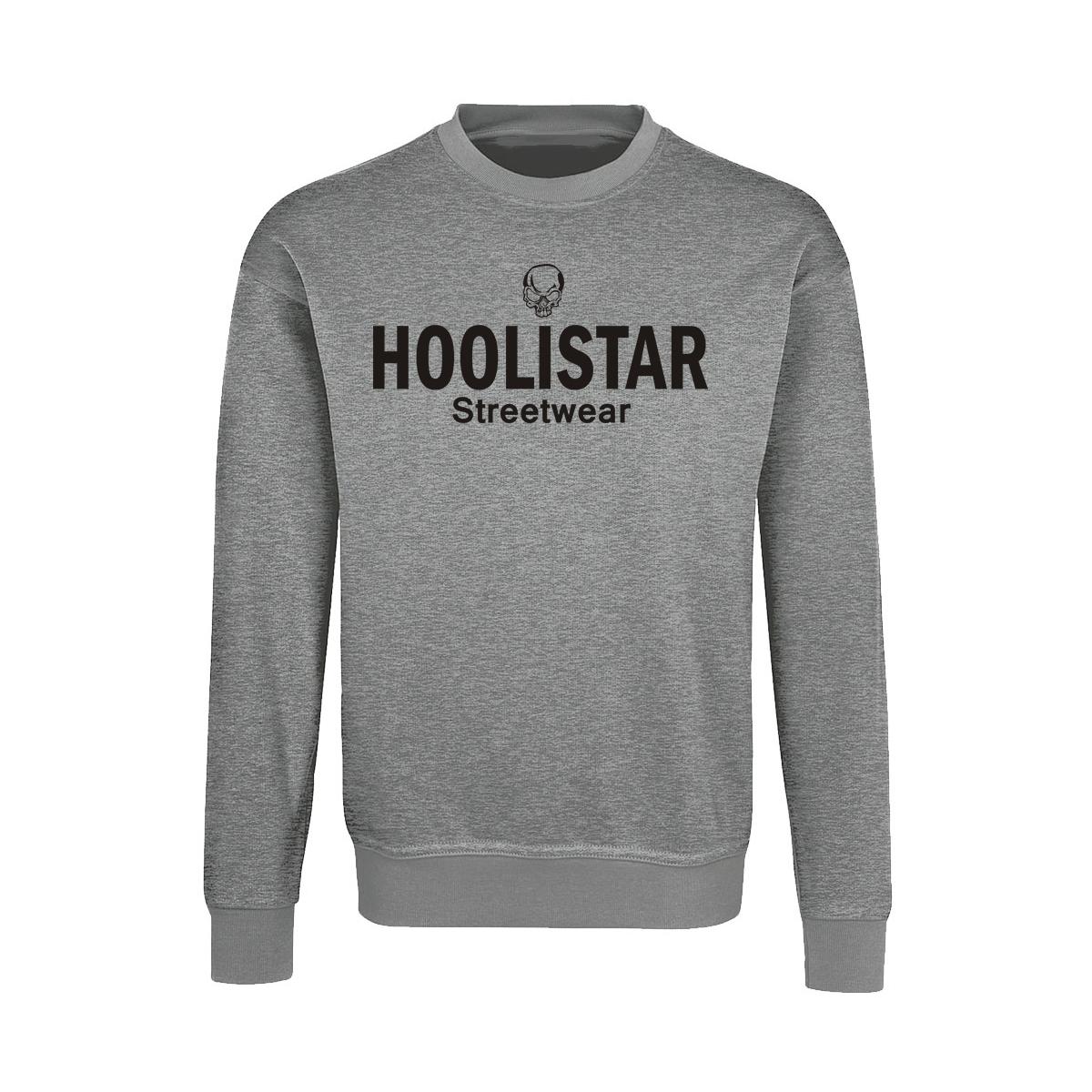 Hoolistar Streetwear - Männer Pullover - grau meliert