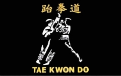 Tae Kwon Do Fahne 90 x 150 cm