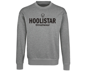 Hoolistar Streetwear - Männer Pullover - grau meliert