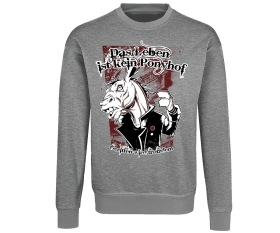 Das Leben ist kein Ponyhof - Männer Pullover - grau-meliert